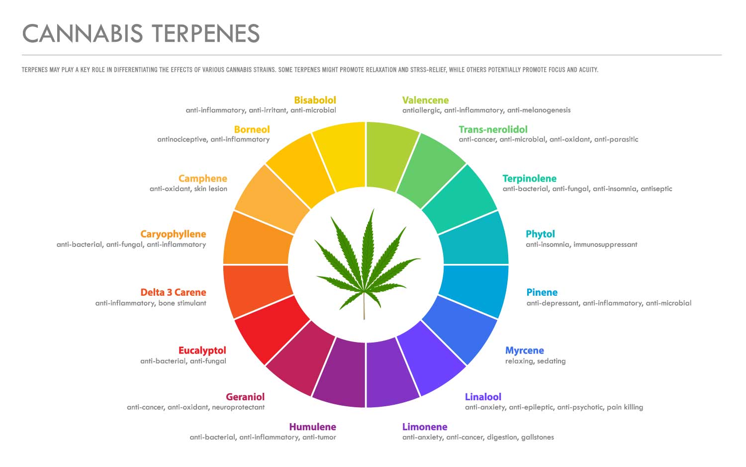 What are terpenes?